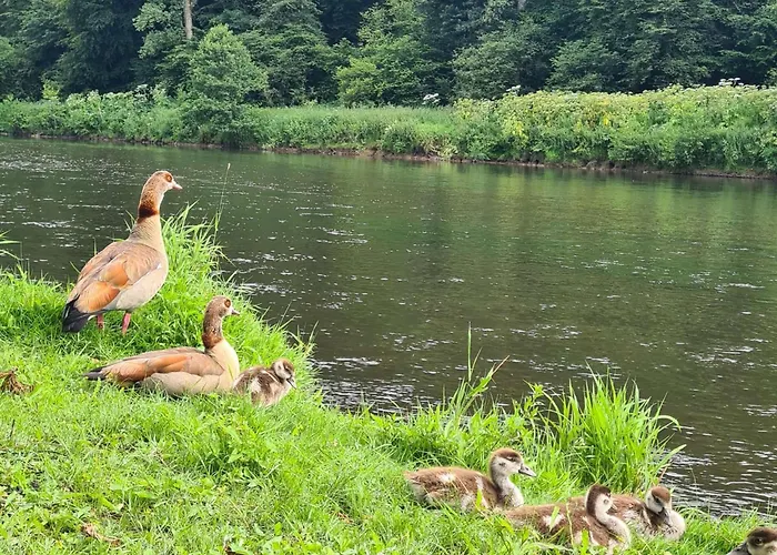 דירה Bergischer Dreiklang *